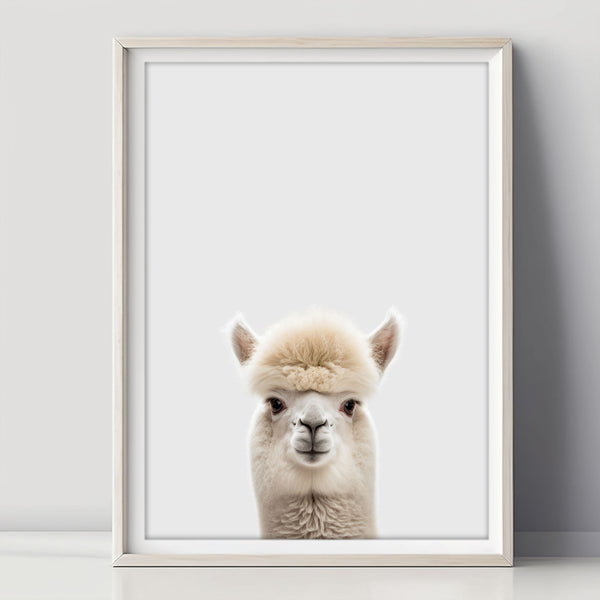 Alpaka Poster für das Kinderzimmer