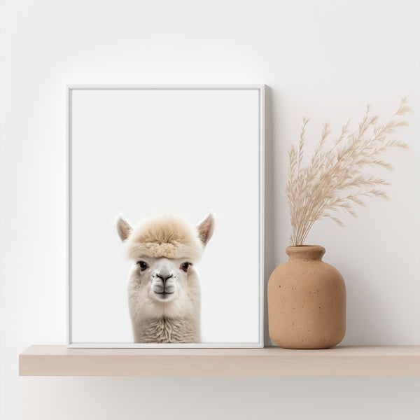 Alpaka Poster. Perfekt für ein Hochbett Zimmer.