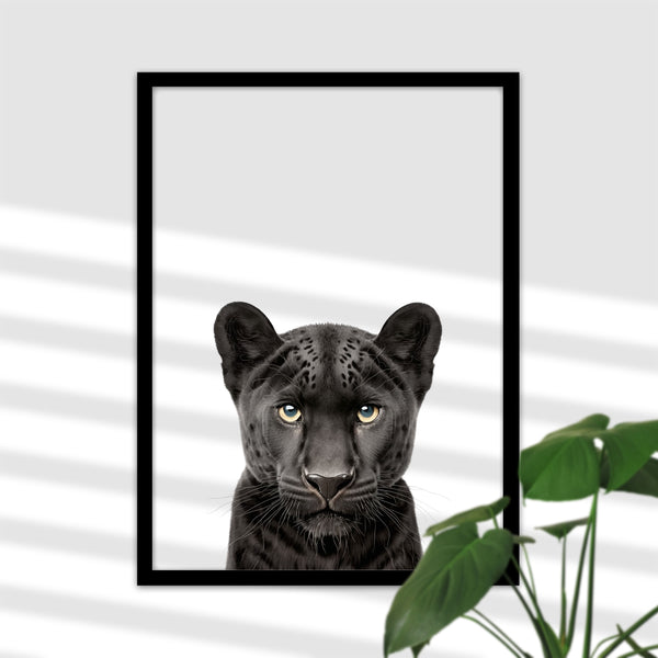 Stilvolles Schwarzer Panther Poster für Jugendzimmer