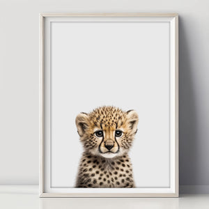 Verspieltes Baby Gepard Poster für Kleinkinderzimmer