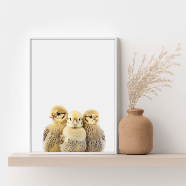 3 Baby Küken Poster - Perfekt für das Babyzimmer