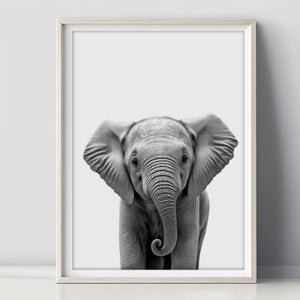 Süßes Baby-Elefant-Poster für Ihr Zuhause