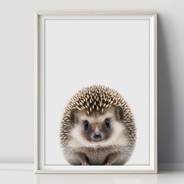 Baby Igel Poster - Kinderzimmer Dekoideen