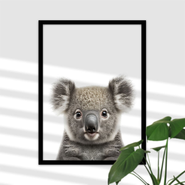 Niedliches Baby-Koala-Poster für Ihr Heim