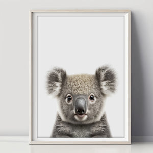 Zartes Baby-Koala-Poster