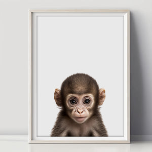 Baby Schimpanse poster
