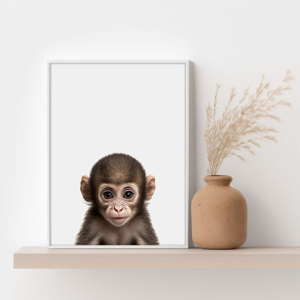 Poster eines Baby Schimpansen