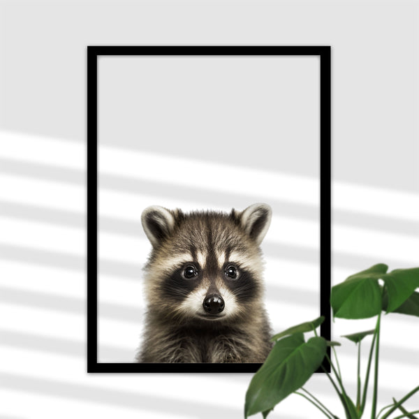Süßes Baby-Waschbär-Poster - Ein Hauch von Niedlichkeit für Ihr Zuhause