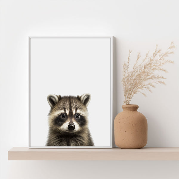 Niedliches Baby-Waschbär-Poster