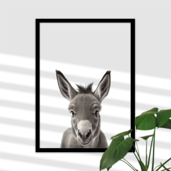 Niedliches Baby Esel Poster für das Babyzimmer