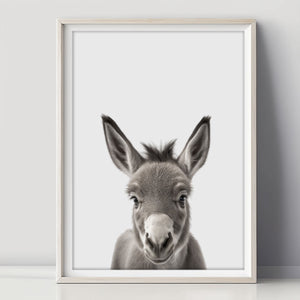 Baby Esel Poster - Eine charmante Dekoration für das Babyzimmer