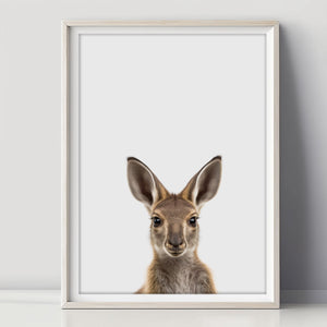 Süßes Baby Känguru Poster für Spielzimmer