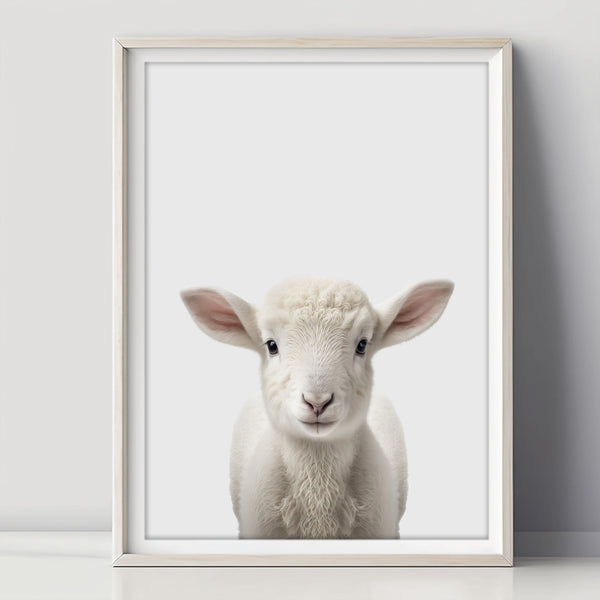 Cute Baby Lamb Poster - Perfect for Girls Room