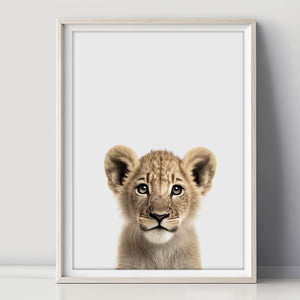 Baby Löwe Poster - Wandgestaltung fürs Jungenzimmer