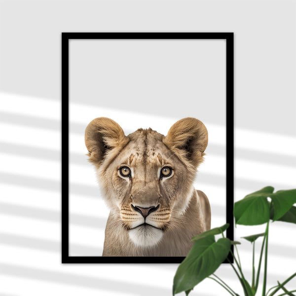 Stolze Löwin Poster