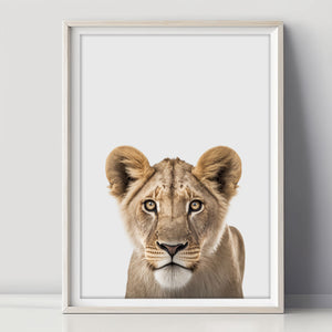 Kraftvolle Löwin Poster - Die Schönheit der Wildnis für Ihr Zuhause