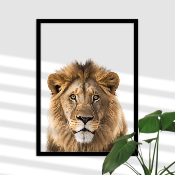 Majestätischer Löwen-Poster