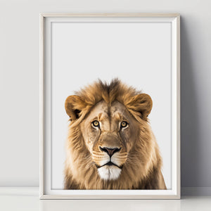 Prachtvoller Löwen-Poster - Ihr Stück Wildnis für Zuhause