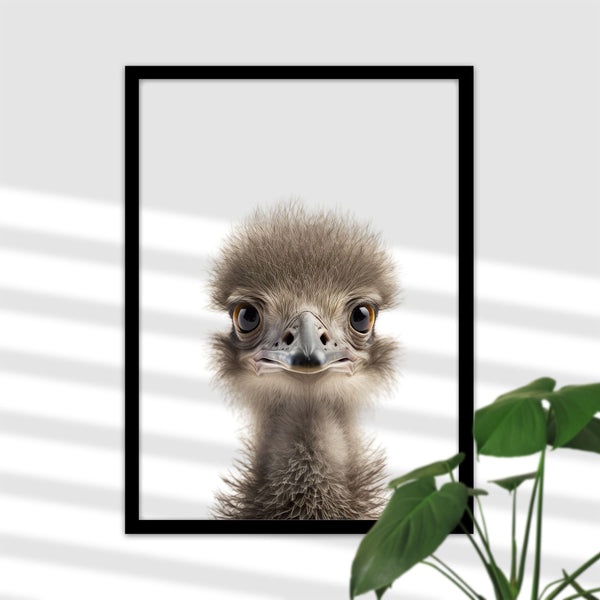 Baby Ostrich Poster - An eye-catcher in the children's room