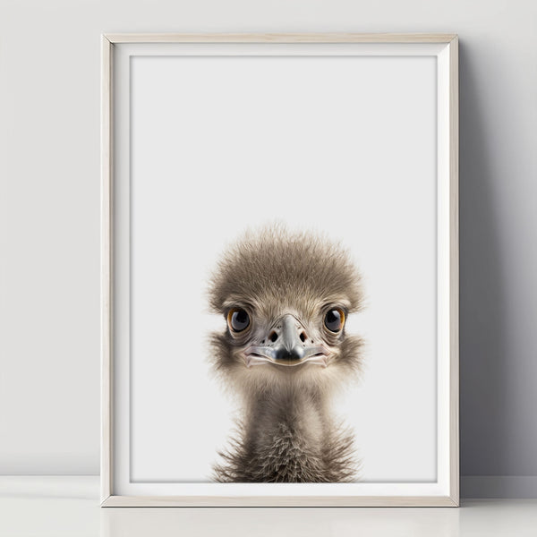 Baby Ostrich Poster - An eye-catcher in the children's room