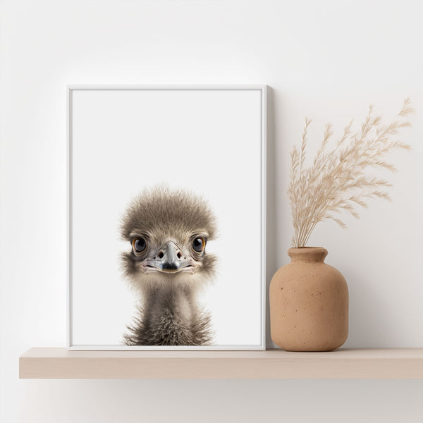 Baby Ostrich Poster - An eye-catcher in the children's room