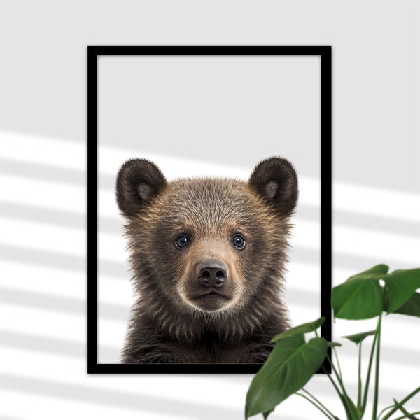 Baby Bär Postern inspirieren
