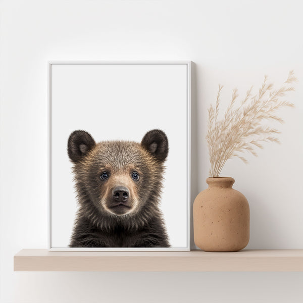 Baby Bär Poster