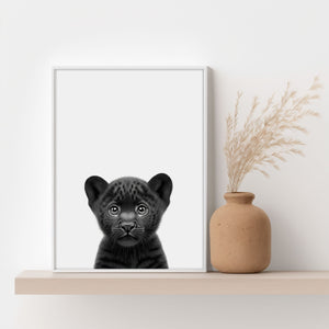 Baby Schwarzer Panther