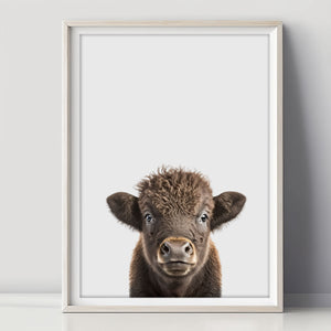 Baby Bison Poster für die Gestaltung von Jungenzimmer