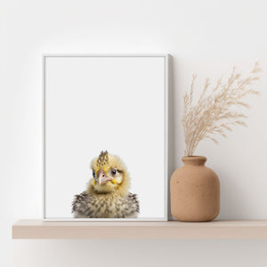 Baby Küken Poster. Eine freudige Ergänzung für jedes Kinderzimmer."