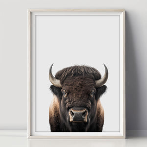 Bison Poster - Eine erfrischende Dekoration für ein schmales Kinderzimmer