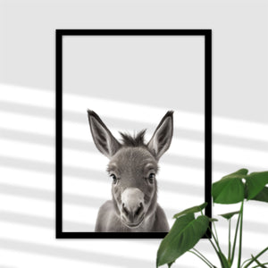 Niedliches Baby Esel Poster für das Babyzimmer