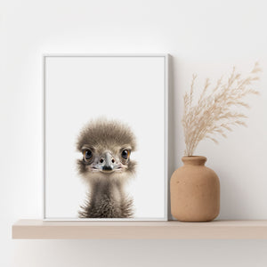 Baby Ostrich Poster - An eye-catcher in the children's room