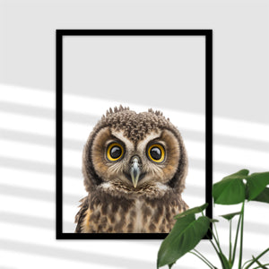Baby Eule Poster - Niedliche Deko fürs Babyzimmer