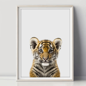 Baby Tiger Poster - Kinderzimmer Deko